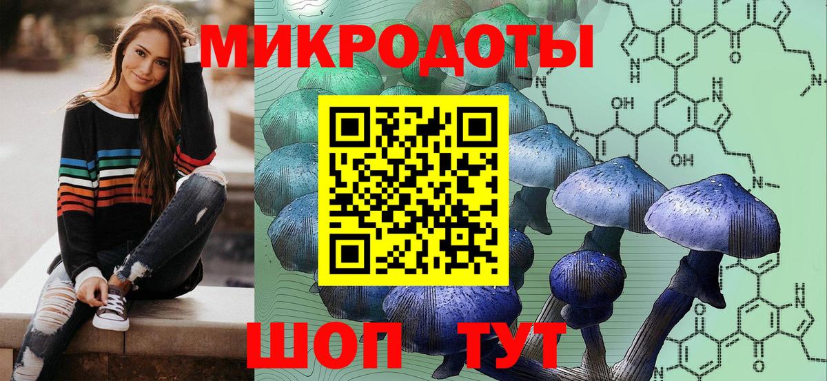 Псилоцибиновые грибы мухоморы Троицк