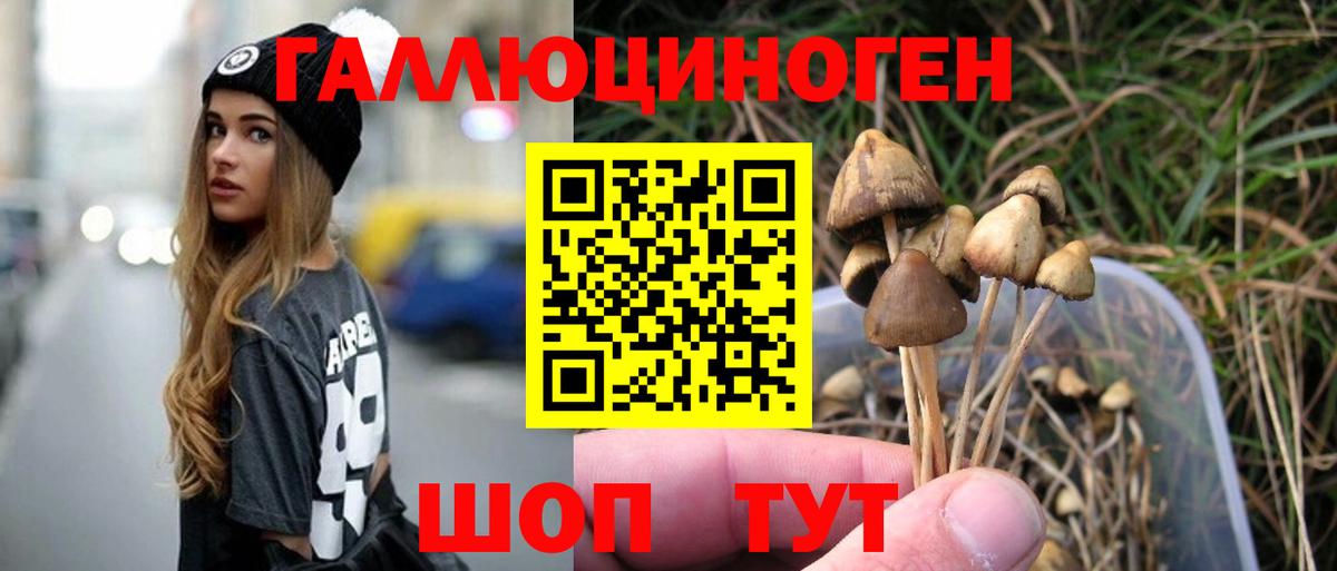 Троицк  Галлюциногенные грибы Psilocybe  Вход с VPN 